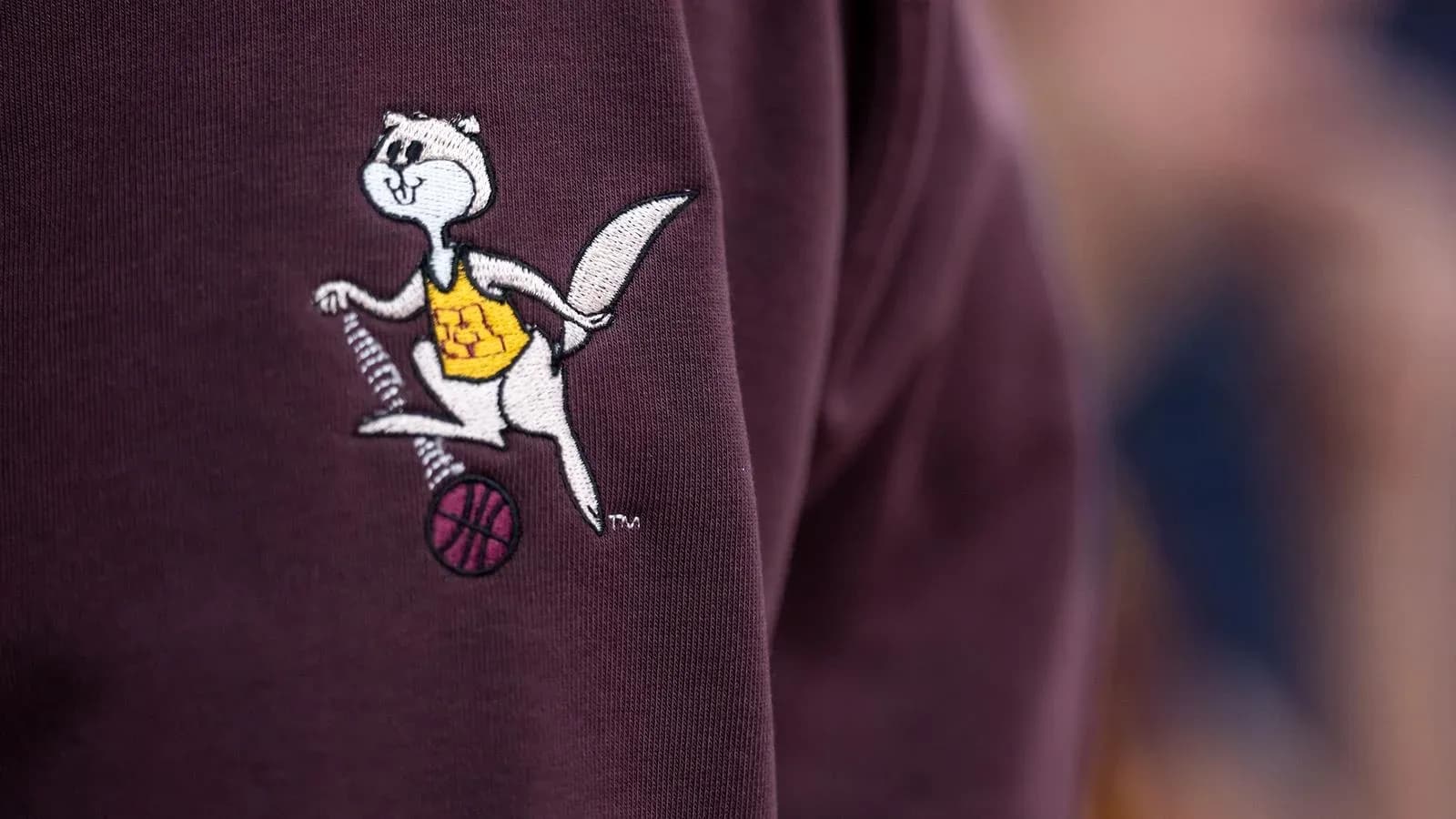 Logotipo de mascota de baloncesto en sudadera