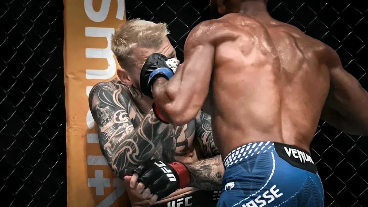 Luchador en combate en el octágono de UFC