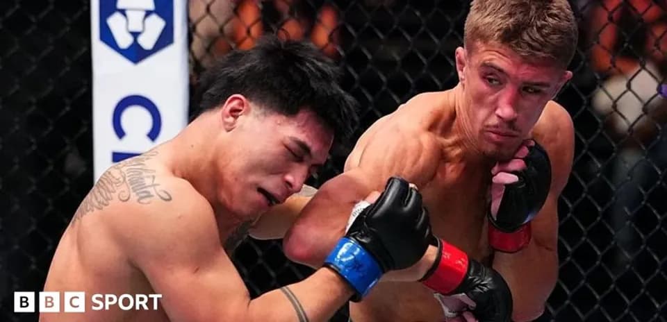 Luchadores en acción durante pelea de MMA