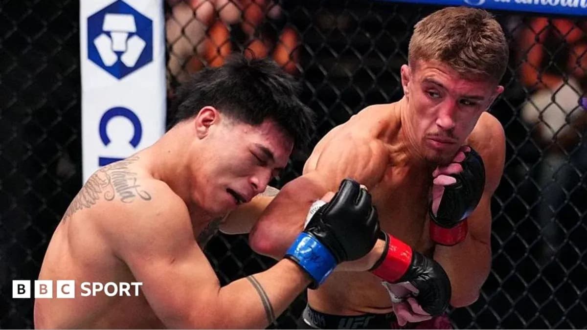 Luchadores en acción durante pelea de MMA
