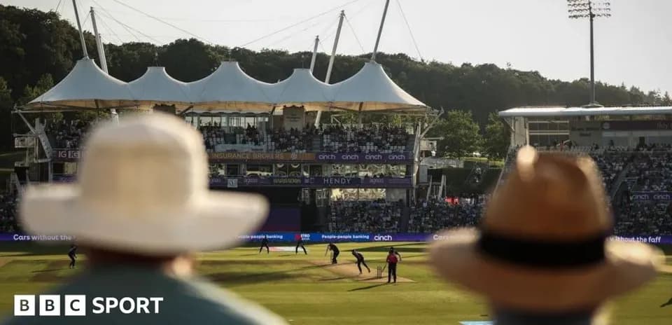 Espectadores en partido de cricket al aire libre