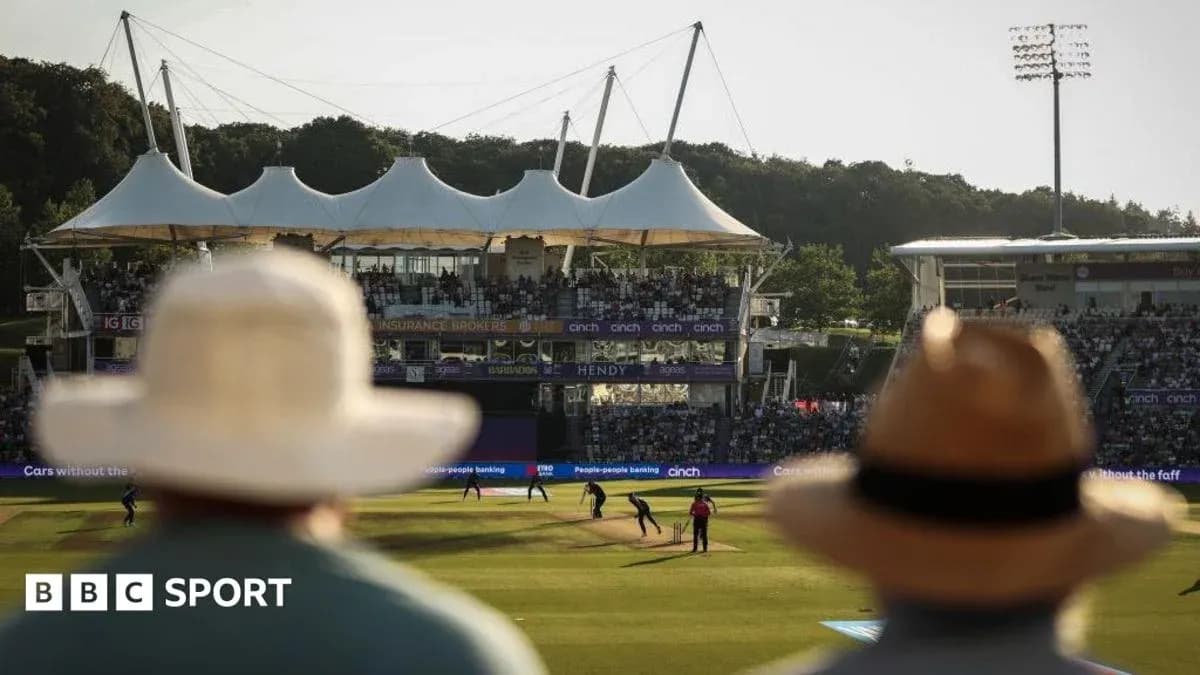 Espectadores en partido de cricket al aire libre