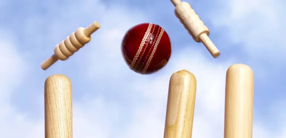 Pelota de cricket volando hacia los wickets