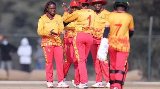 Jugadores de cricket de Zimbabue celebrando una wicket