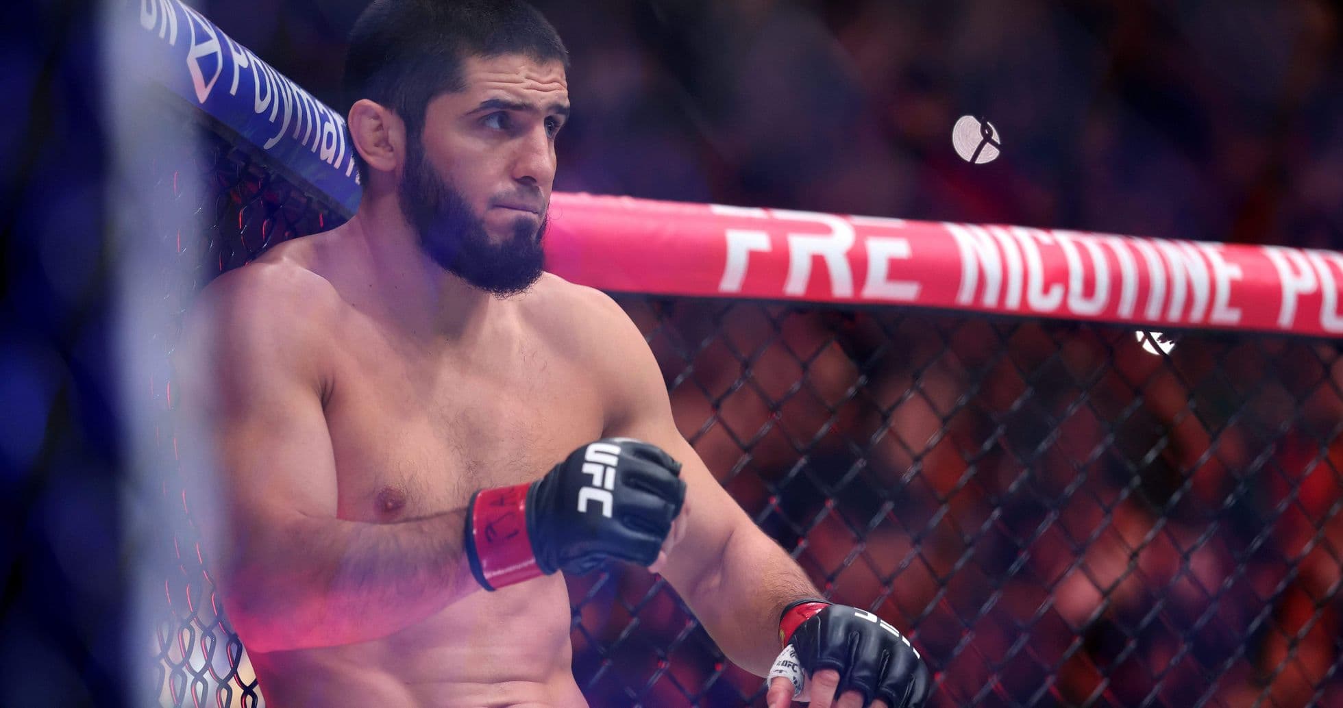 Luchador sentado en la jaula de UFC Luchador sentado en la jaula de UFC