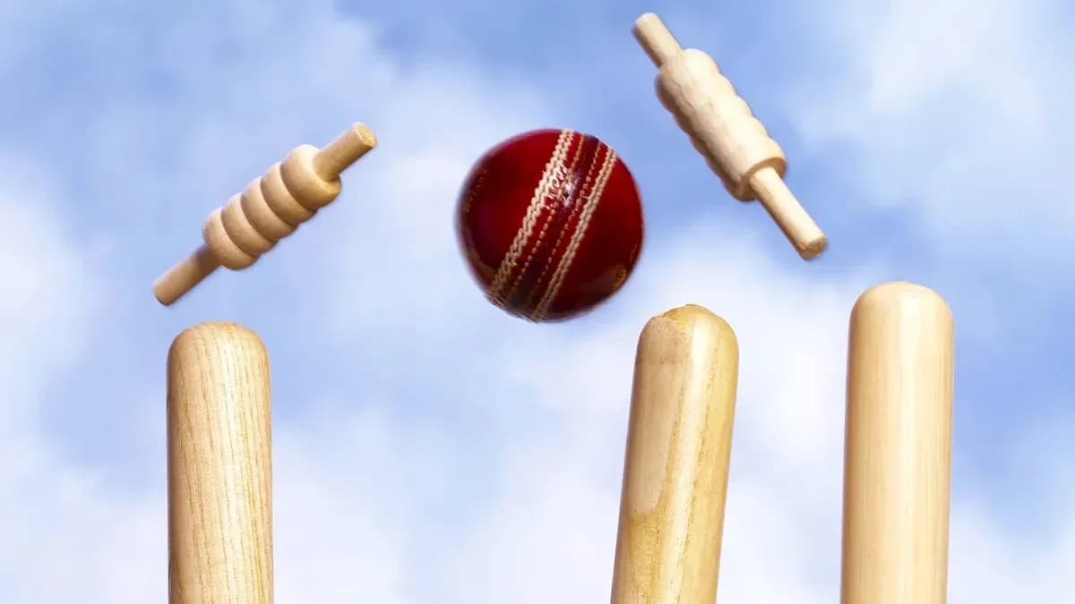 Pelota de cricket volando hacia los wickets Pelota de cricket volando hacia los wickets